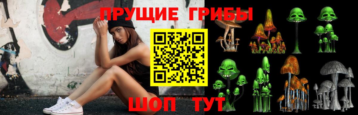 Псилоцибиновые грибы Magic Shrooms  Вход с VPN  Королёв 